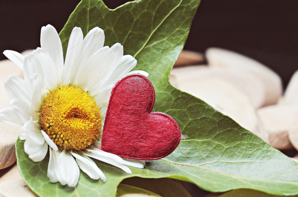 Saint Valentin : en couple ou célibataire, on a tous une raison de ...